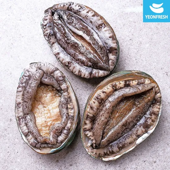 완도 활전복 1kg 9-10미