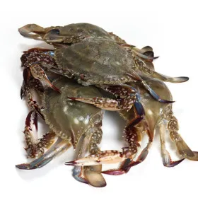 국내산 활 꽃게 2kg 6-10미 암수랜덤