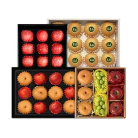 베트남 골드망고 프리미엄 선물세트 8과 총2kg내외