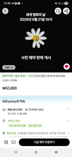 GD 옥스퍼드 블록 818 BLOOM