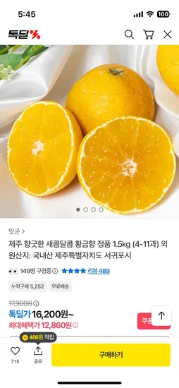 제주 황금향 1.5kg (4~11과)