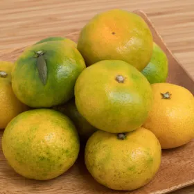 제주 하우스 극조생 감귤 로얄혼합과 2kg