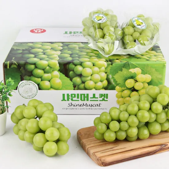 샤인머스캣 2kg 2수