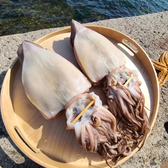 원양산 반건조 소소 10마리 500~600g