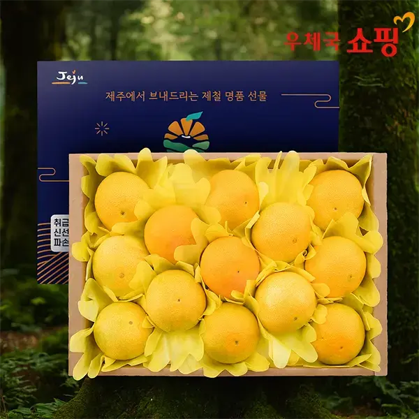 천하일품 하우스 감귤 황금향 선물세트 2kg