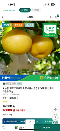 영암군 GAP 햇 신고배 가정용 5kg