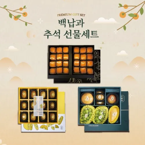 비타민연구소 청도 반건시 15입