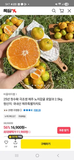 25년 극조생 노지감귤 로얄과 2.5kg