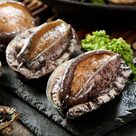 완도활전복 특대 10-11미 1kg