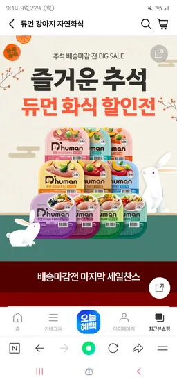 듀먼 강아지 화식 50g 10종 80+1팩 67,598원