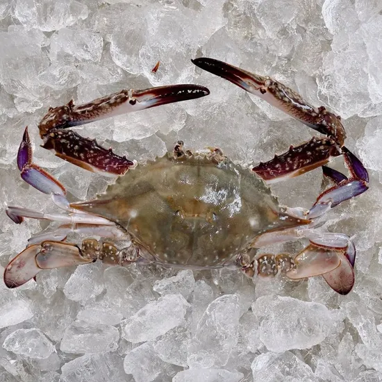 서해안 활 숫꽃게 2kg (kg당 3-5미)