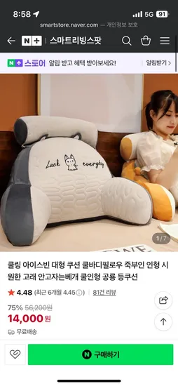 스마트리빙스팟 쿨링 동물 쿠션