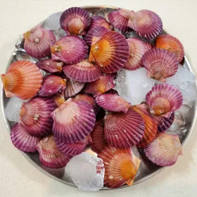 [상품명] [추가 구성품] [브랜드] [모델명] [이벤트명 기간] [색상 사이즈 등 옵션] [총 20m 총 5kg 12개 등 수량 정보] [가격]