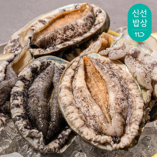 완도 활 전복 1kg 7-8미