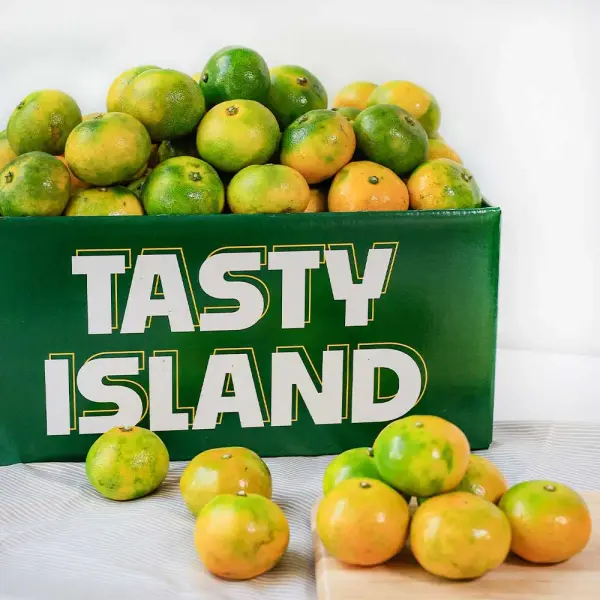 제주 햇조생감귤 로얄과 S-M 2kg