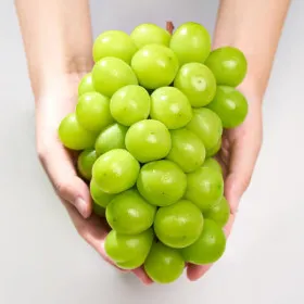 샤인머스켓 4kg 6-10수