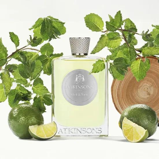 앳킨슨 아이콘스 오브 더 렘 10ml 4종 외 다양 키트