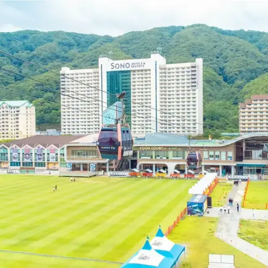 소노펠리체 비발디 1박 조식 6인 사우나 4인