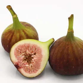 달콤톡톡 영암 생 무화과 홍무화과 1kg