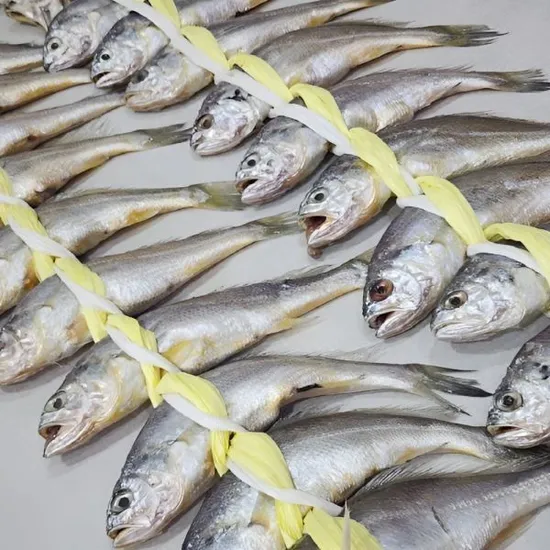 프리미엄 국내산 영광굴비 10+10미 1.6kg 내외