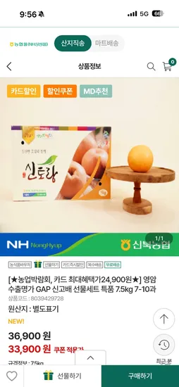 영암 수출명가 신고배 선물세트 특품 7.5kg 7-10과