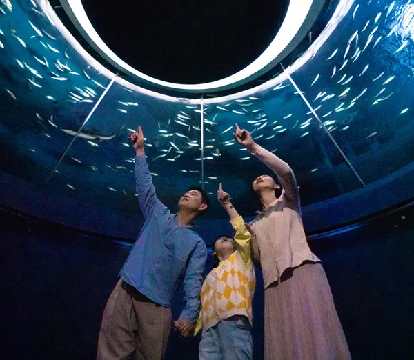 대구 아쿠아리움 종일권 14,500원