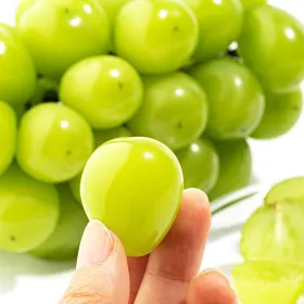 김천 샤인머스켓 2kg (3-4수)