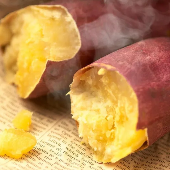 해남 햇 꿀밤 고구마 중상 5kg