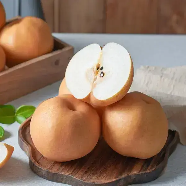 나주 햇 가정용 신고배 5kg (5-8과)