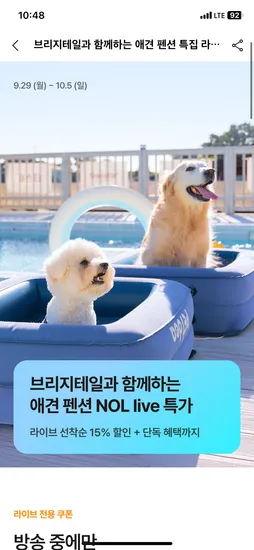 브리지테일 애견 펜션 3만원대부터