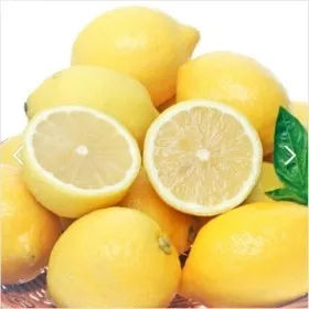 레몬 소과 20과