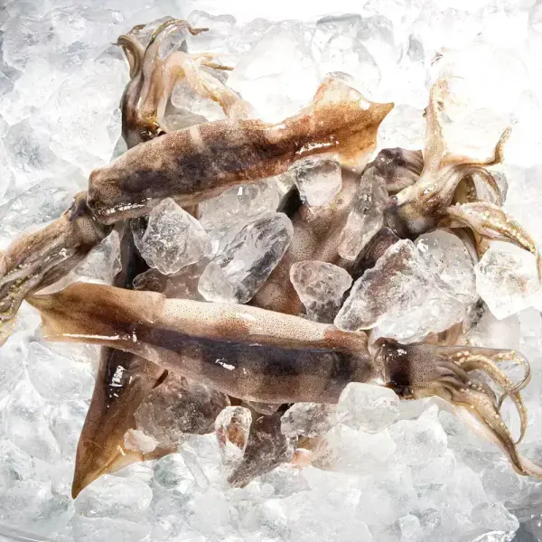 국내산 통찜용 오징어 1kg