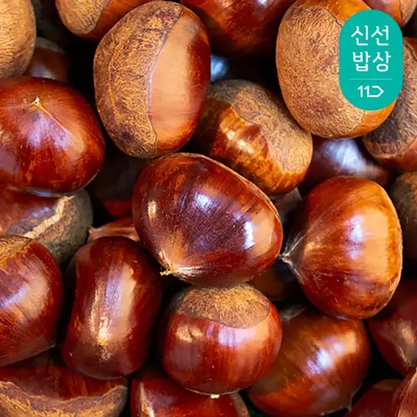 공주 햇밤 대 2kg