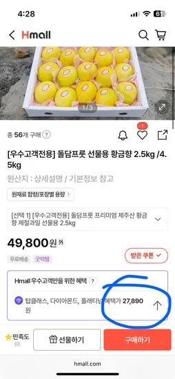 돌담프룻 황금향 2.5kg