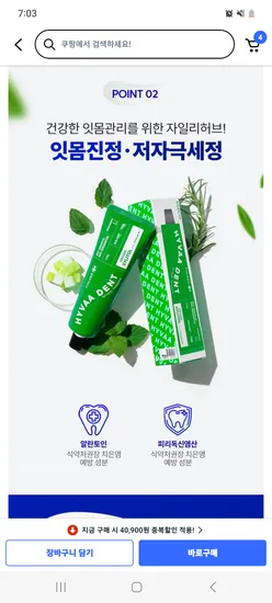 HYVAA DENT 자일리 허브 치약 120g 3개