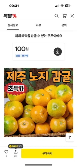 더올림 제주 서귀포 감귤 극조생 대과 4.5kg