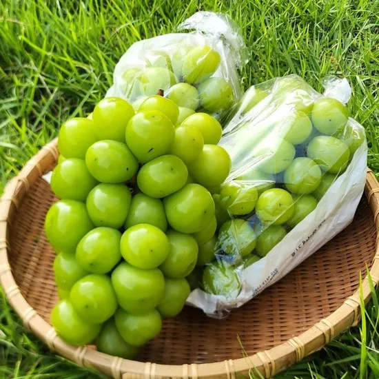 프리미엄 샤인머스켓 4kg 4-5수