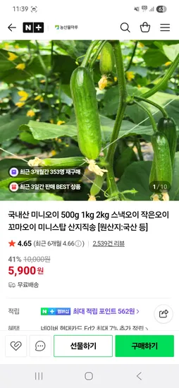 국내산 미니오이 500g