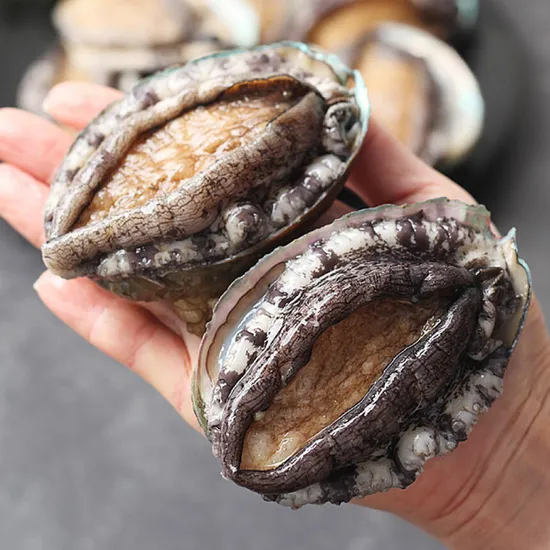 완도전복 1kg 8~9미