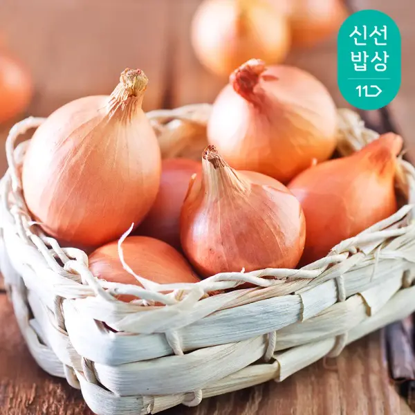 국내산 양파 (중) 5kg