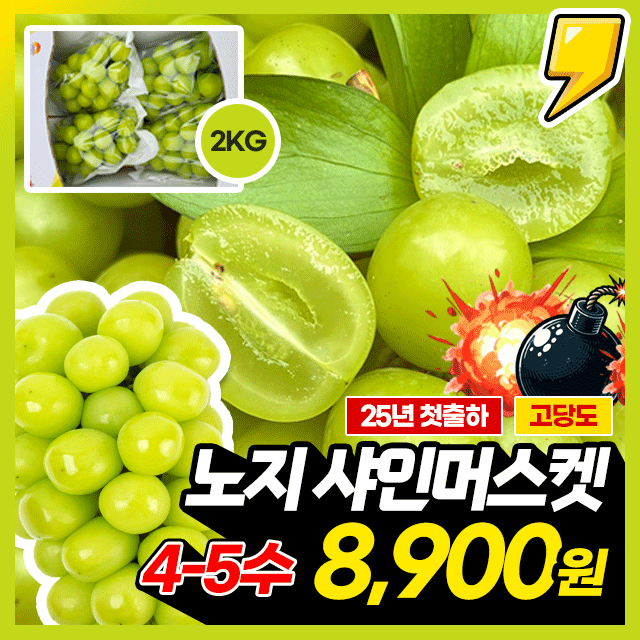 욜로딜 노지 샤인머스캣 2kg