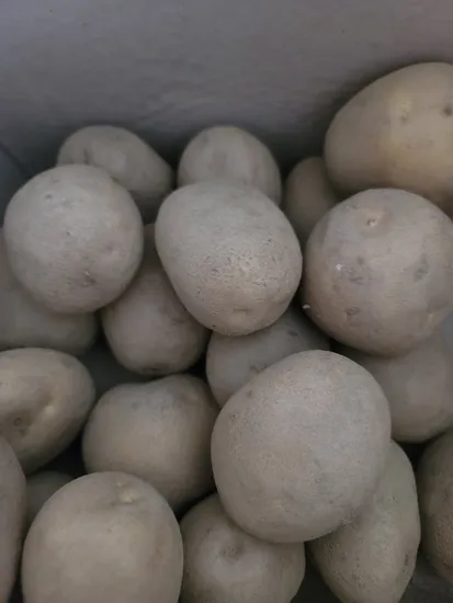 무농약 강원도 감자 3kg