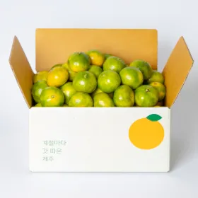 제주 타이벡노지감귤 3kg