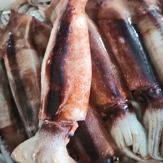 신진도 당일바리 급냉 오징어 1kg (3-4미 내외)