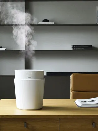 플러스마이너스제로 스팀 가열식 가습기