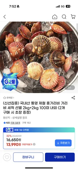 국내산 통영 홍가리비 세척 선별 4kg