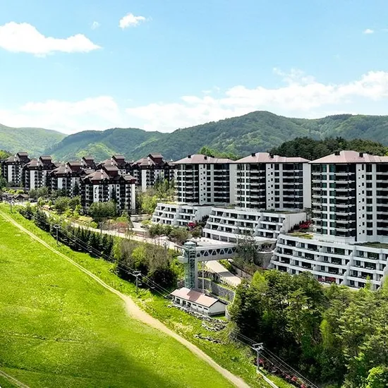 모나 용평리조트 객실 케이블카 애니포레 액티비티 3종 중 택1 80,100원