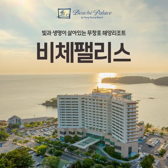 보령 비체팰리스 룸온리