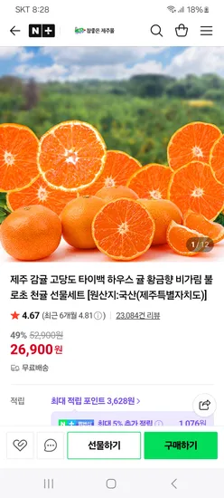 제주 불로초 노지감귤 2kg