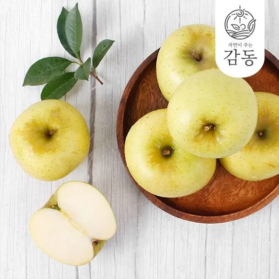 시나노 골드 사과 2kg 10-12과